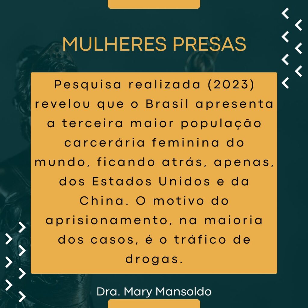 pesquisa sobre a população carcerária feminina